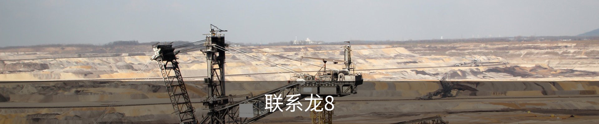 联系龙8