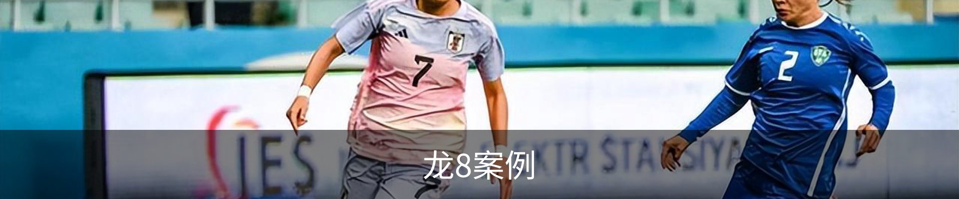 龙8案例